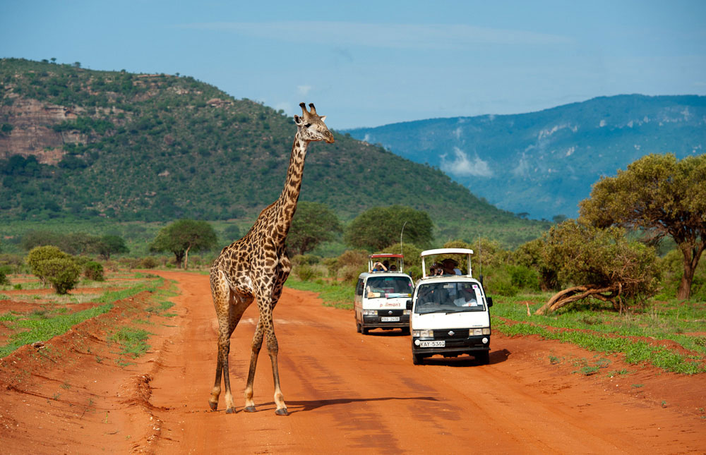 پارک ملی ساوو شرق کنیا